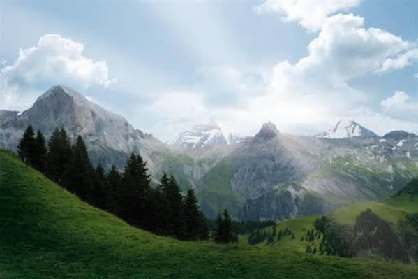 Hotel Adler Adelboden Zewnętrze zdjęcie